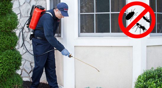 Muğla Haşere İlaçlama böcek ilaçlama ve haşere kontrolü — ilaclama-tr.com